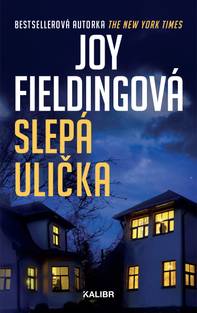 Obálka Slepá ulička