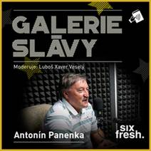 Obálka Galerie slávy - Antonín Panenka