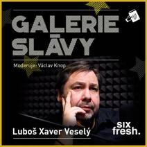 Obálka Galerie slávy – Luboš Xaver Veselý