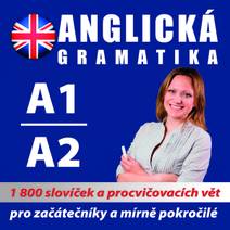 Obálka Anglická gramatika 1