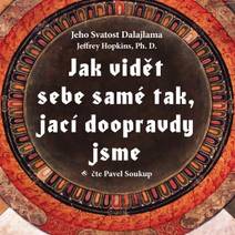 Obálka Jak vidět sebe samé tak, jací doopravdy jsme