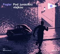 Obálka Pod junáckou vlajkou