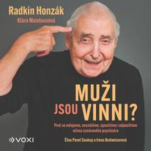 Obálka Muži jsou vinni?