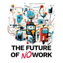Obálka The Future of No Work