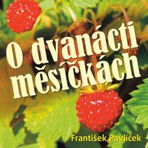 Obálka O dvanácti měsíčkách