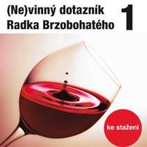 Obálka (Ne)vinný dotazník Radka Brzobohatého 1.