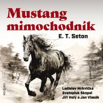Obálka Mustang mimochodník