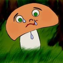 Obálka Houbové čarování