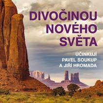 Obálka Divočinou Nového světa