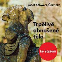 Obálka Trpělivě obnošené tělo