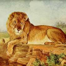 Obálka O moudrém králi