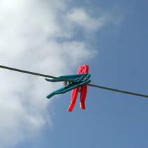 Obálka Co se skrývá pod břečťanem