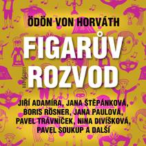 Obálka Figarův rozvod