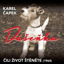 Obálka Dášeňka čili život štěněte (1964)