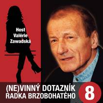 Obálka (Ne)vinný dotazník Radka Brzobohatého 8.