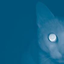 Obálka Jen šmouha po nebi