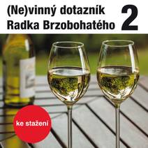 Obálka (Ne)vinný dotazník Radka Brzobohatého 2.