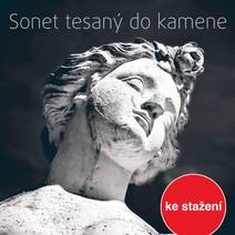 Obálka Sonet tesaný do kamene