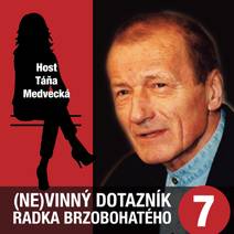 Obálka (Ne)vinný dotazník Radka Brzobohatého 7.
