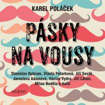 Obálka Pásky na vousy