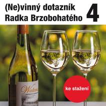 Obálka (Ne)vinný dotazník Radka Brzobohatého 4.