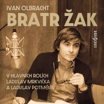 Obálka Bratr Žak