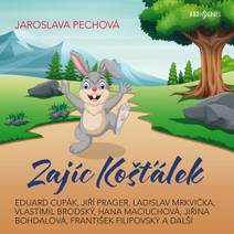 Obálka Zajíc Košťálek