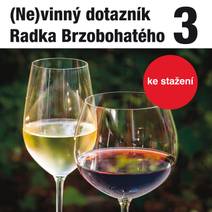 Obálka (Ne)vinný dotazník Radka Brzobohatého 3.