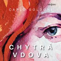 Obálka Chytrá vdova