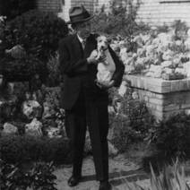 Obálka Dášeňka čili život štěněte (1983)