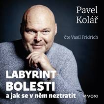 Obálka Labyrint bolesti