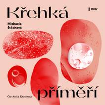 Obálka Křehká příměří