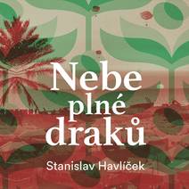 Obálka Nebe plné draků