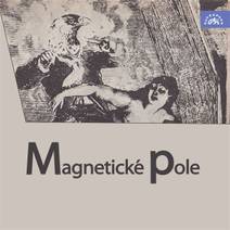 Obálka Magnetické pole