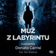 Obálka Muž z labyrintu