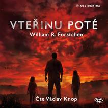 Obálka Vteřinu poté