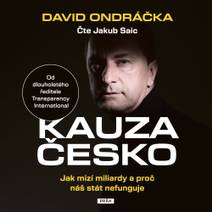 Obálka Kauza Česko