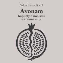 Obálka Avonam: Kapitoly o sionismu a trauma viny