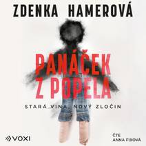 Obálka Panáček z popela