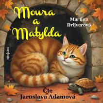 Obálka Moura a Matylda