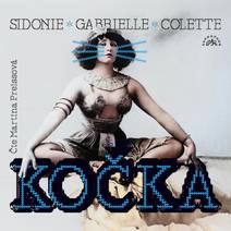 Obálka Kočka