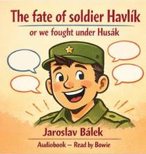 Obálka The fate of soldier Havlík or we fought under Husák