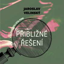 Obálka Přibližné řešení