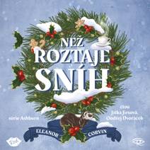 Obálka Než roztaje sníh
