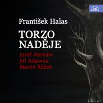 Obálka Torzo naděje