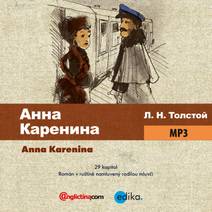 Obálka Anna Karenina