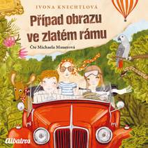 Obálka Případ obrazu ve zlatém rámu