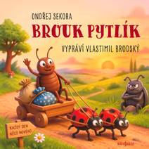 Obálka Brouk Pytlík