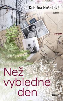 Obálka Než vybledne den