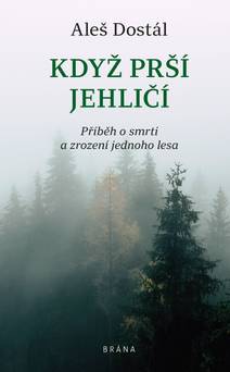 Obálka Když prší jehličí